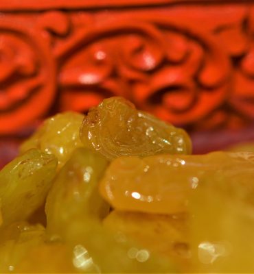 TECHNICALLY CARED – DRIED FRUITS FROM CHILE